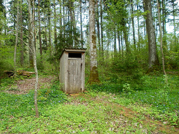 istock Outdoor toilet 516786458