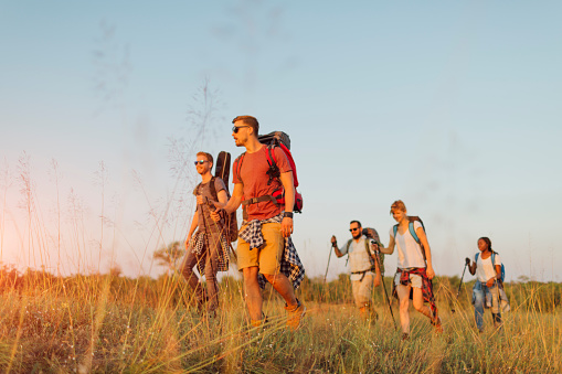 Group of young hikers, walking together. They are carrying backpacks and hiking poles. Enjoying in the nature and healthy lifestyle. Low angle.