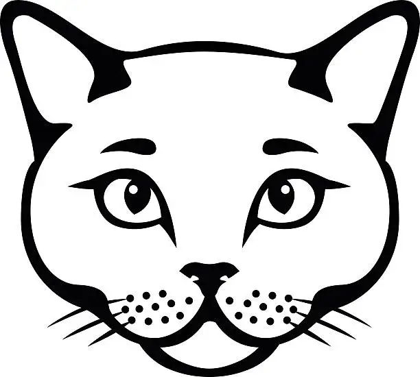 Vector illustration of British cat muzzle