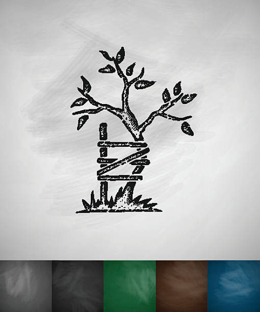 Symbol Of Orthopedics Icon Stock Illustration - Download Image Now - Human  Spine, Tree, Lithograph - iStock