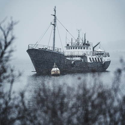 An abandoned ship floats silently during a heavy snowfall in a still cove.