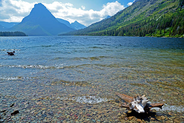 istock Beautiful clear lake in Glacier surrounded by mountains. 516796138