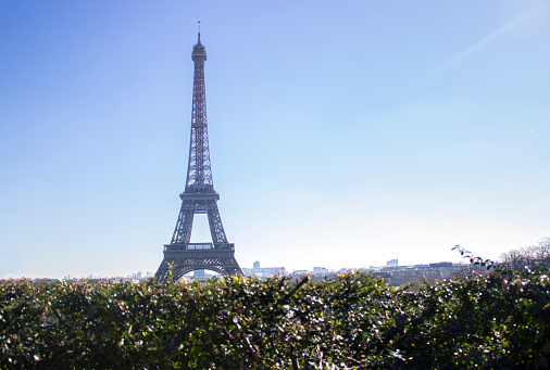 Eiffel tower in clear sky. Horizontal composition.  Image developed from RAW format.