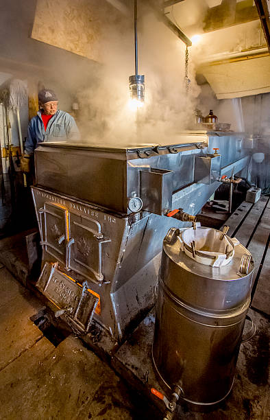 Evaporator, maple syrup, farmer. Saint-Pie, Canada- March 11 2016.  Evaporator of the brand Dallaire inc. St-Evariste, beauce, based in the sugar shack belonging to Michael and Danielle Gilbert, located in St-Pie in the Montérégie. In the greater Saint-Hyacinthe. Operator of the sugar bush in check production. saint hyacinthe photos stock pictures, royalty-free photos & images