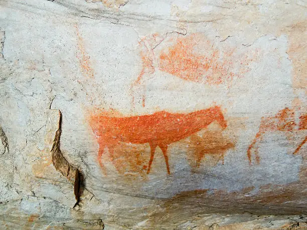 Bushman cave paintings in Cederberg, Republic of South Africa