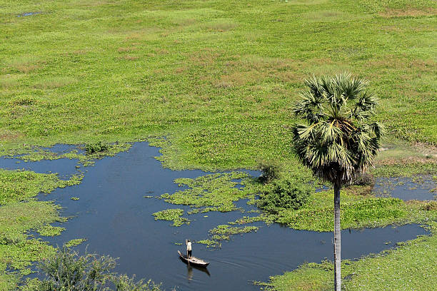 istock man on boat on green lake, cambodia 516801622