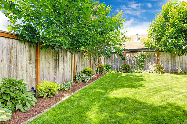 istock Fenced backyard with lawn and flower bed 516810101