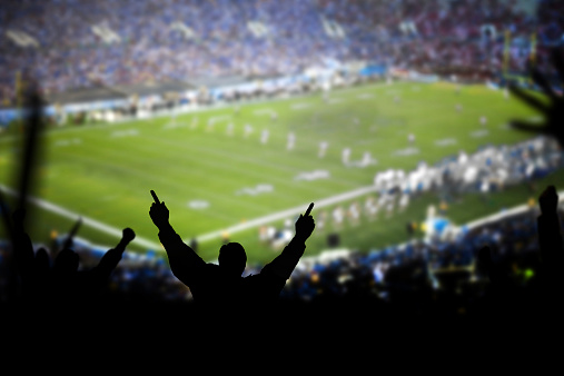 Fans excited at a football game, selective focus on fan with fists raised. Taken with Canon 5d mark II