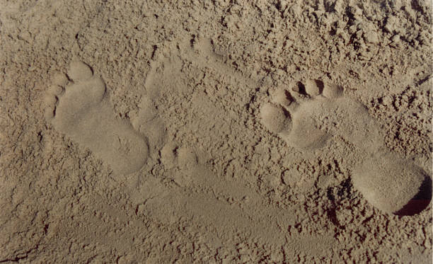 istock Passos na Areia | Footsteps in the sand 516814088