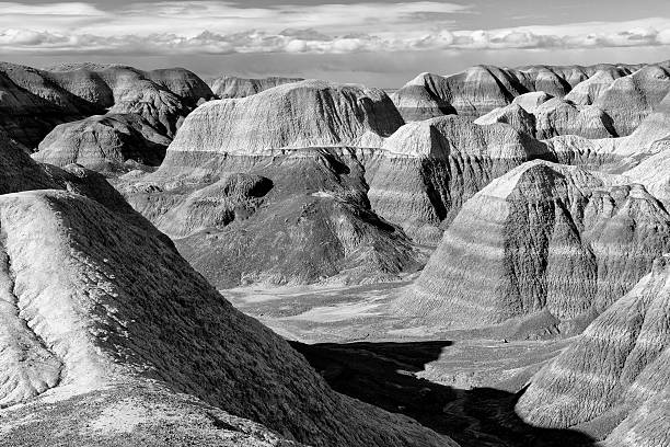 istock Blue Mesa of Petrified Forest National Park 516814878