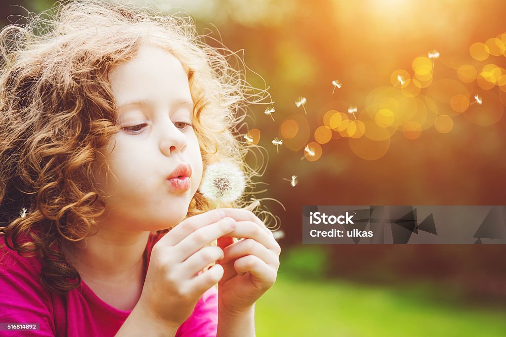 Little curly girl blowing dandelion. Little curly girl blowing dandelion in spring park. Child Stock Photo