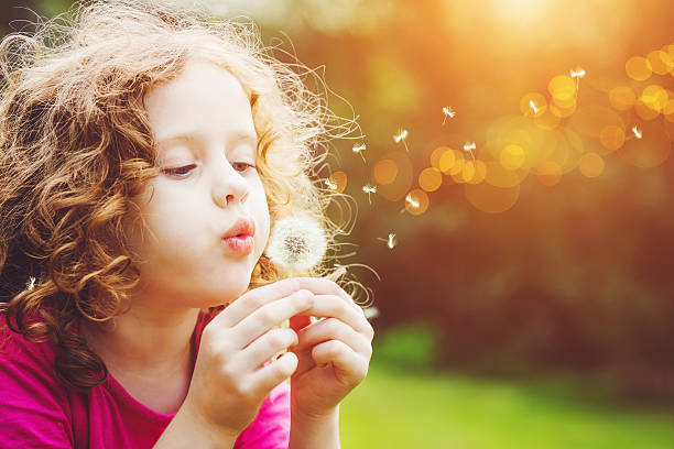 Little curly girl blowing dandelion. Little curly girl blowing dandelion in spring park. dandelion stock pictures, royalty-free photos & images