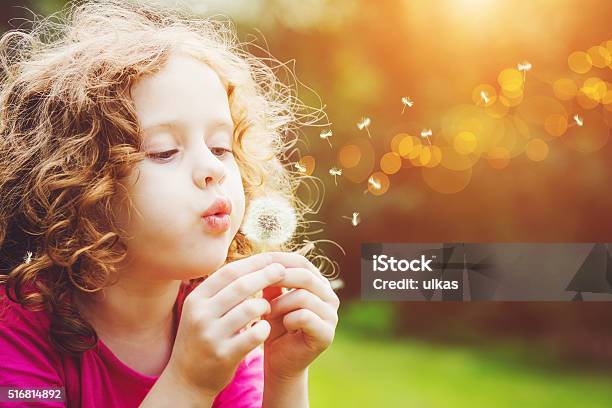 Little Curly Girl Blowing Dandelion Stock Photo - Download Image Now - Child, Dandelion, Blowing