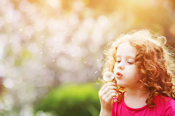 istock Little curly girl blowing dandelion. 516816222