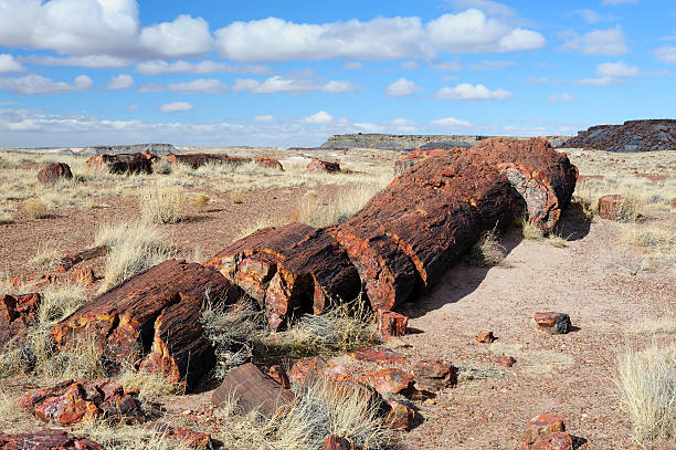 istock Petrified Forest National Park 516817378