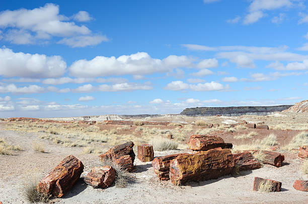 istock Scenery of Petrified Forest National Park 516817446