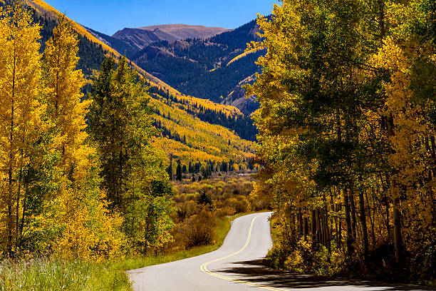 istock Fall Colors in Colorado Mountains 516818306