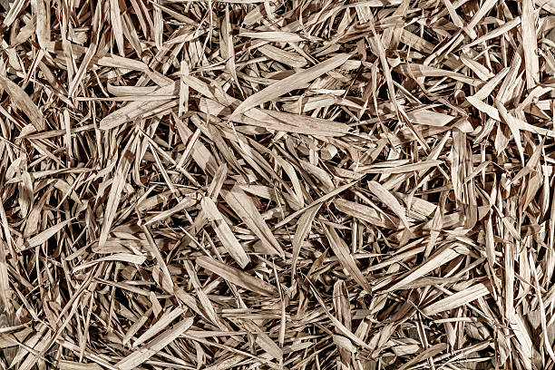 Seamless dry leaves background. Nature themes.