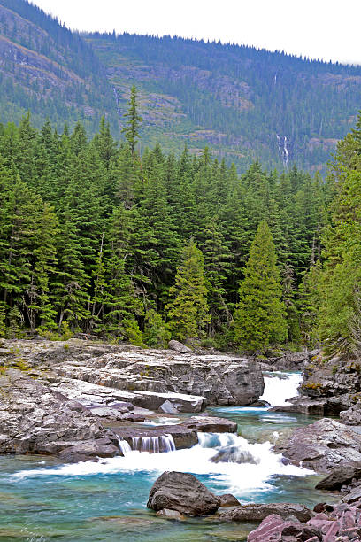 istock Vertical-falls in a beautiful river in Glacier National Park. 516818916