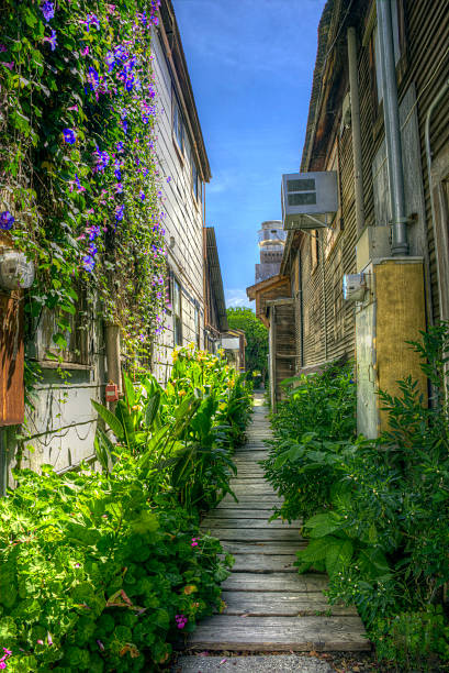 Back Alley Wood Walkway Between Buildings