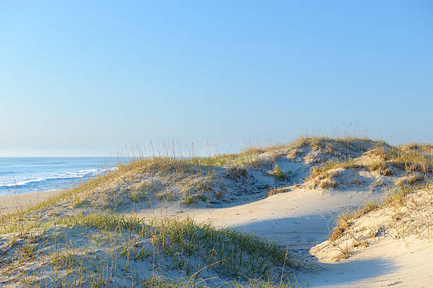 plaży scena z wydmy w rano światło - sand sea oat grass beach sand dune zdjęcia i obrazy z banku zdjęć