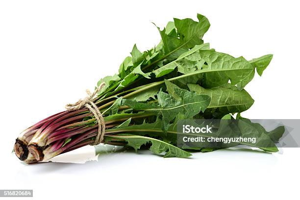Fresh Dandelion Greens Stock Photo - Download Image Now - Horizontal, No People, Photography