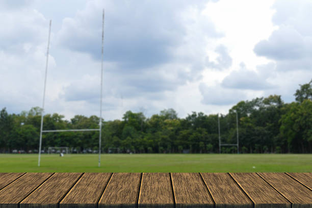 istock rugby field in the park 516821442