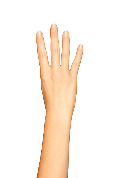 istock Woman Hand Showing Four Fingers On A White Background 516822732