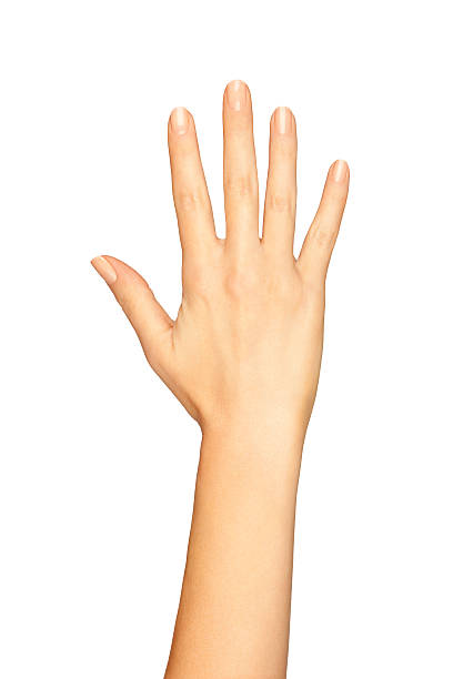 Woman Hand Showing Five Fingers On A White Background stock photo