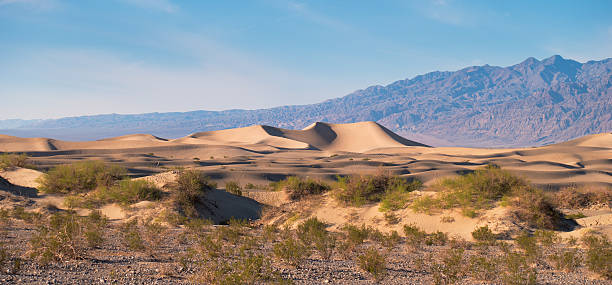 пустынный пейзаж - death valley desert sunset shadow bush стоковые фото и изображения