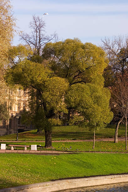 istock Petersburg's autumn is coming 516825870