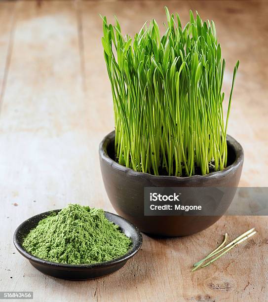 Wheat Sprouts And Powder Stock Photo - Download Image Now - Antioxidant, Black Color, Bowl