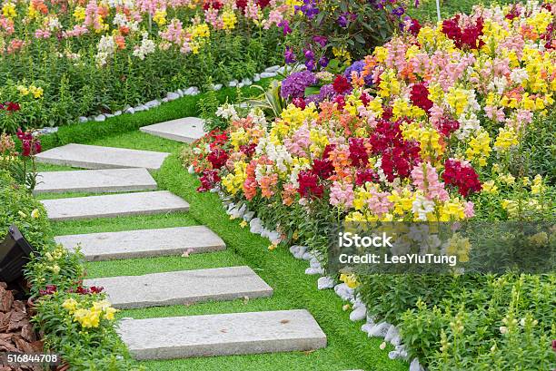 Path In Garden Stock Photo - Download Image Now - Yard - Grounds, Flower, Ornamental Garden