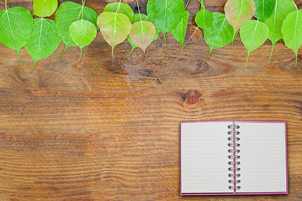 istock fresh green leaves and water drop on wood background 516847016