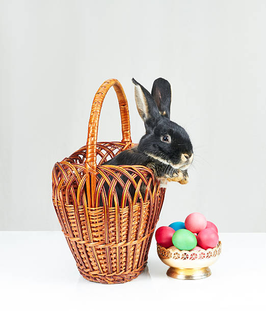 istock Next to the colorful eggs black bunny in a basket 516847200