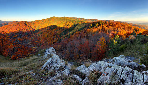 istock Mountain autumn landscape with colorful forest 516849300
