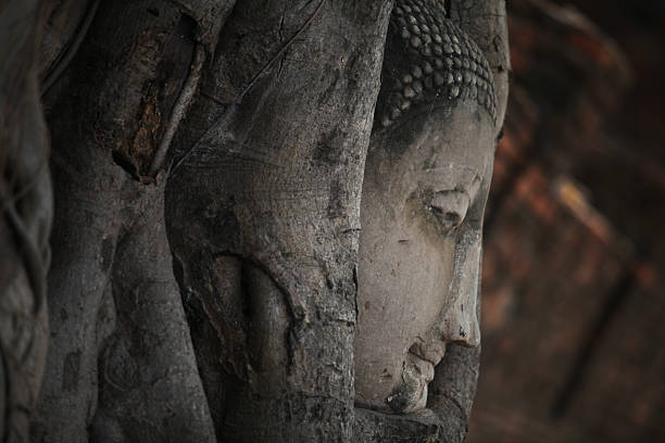 istock Ancient head of Buddha statue in tree root, Ayutthaya, Thailand 516849994