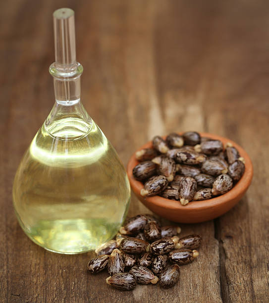 Castor oil with beans Castor oil with beans on wooden surface castor oil stock pictures, royalty-free photos & images