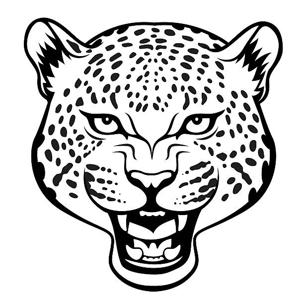 leopard Stylized agressive leopard head  black illustration jaguar stock illustrations