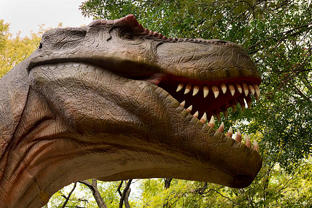 istock Tyrannosaurus 516870567