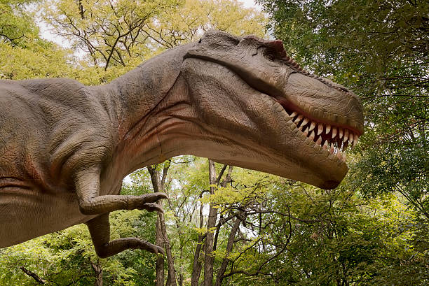 istock Tyrannosaurus 516870583