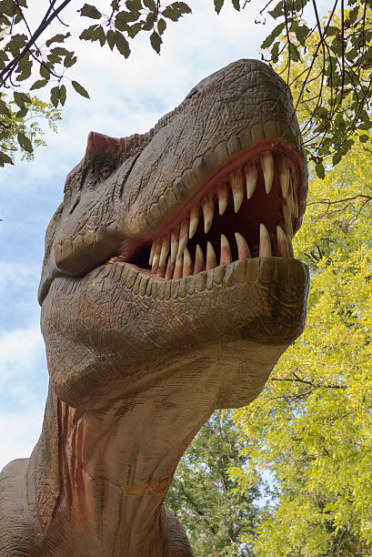 istock Tyrannosaurus 516870597