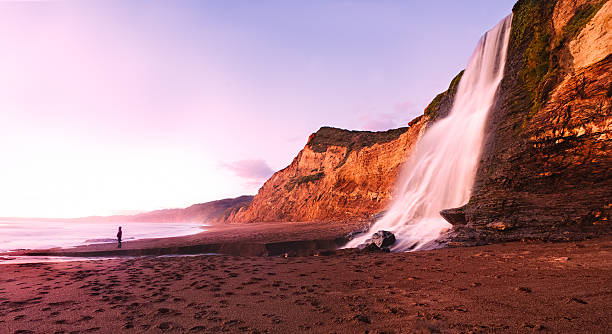 alamere falls - point reyes national seashore northern california beach california zdjęcia i obrazy z banku zdjęć