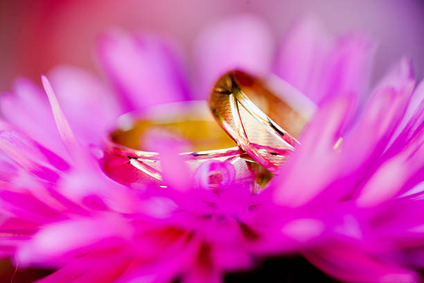 istock wedding rings in daisy flower 516872347