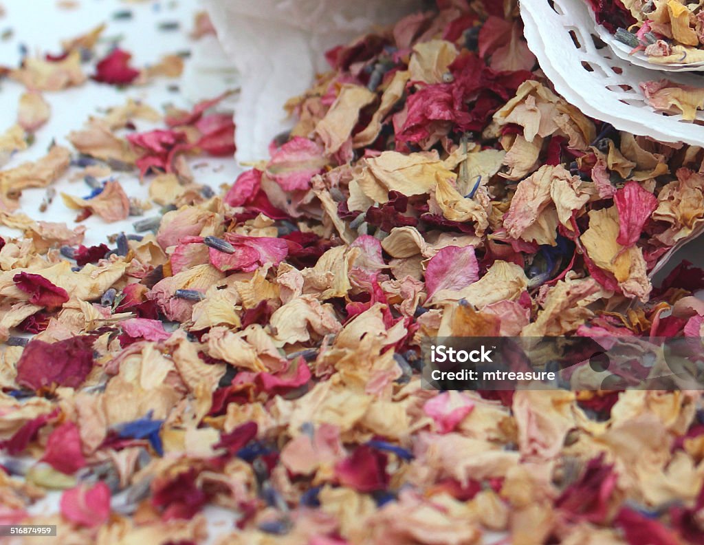 Natural Biodegradable Wedding Confetti Cones Dried Delphinium Rose