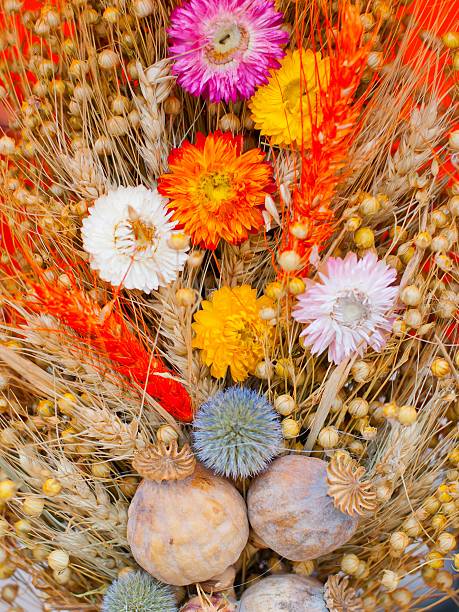 istock Bouquet of dry flowers 516876399