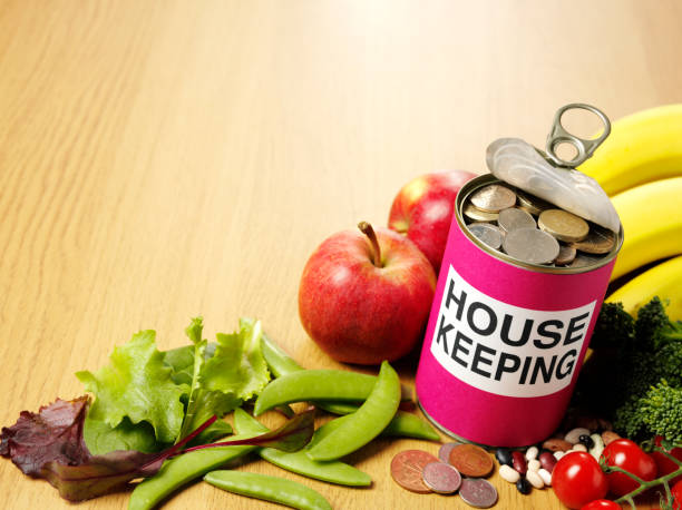 istock Saving Money in a Tin Can with Fruits and Vegetables 516876865