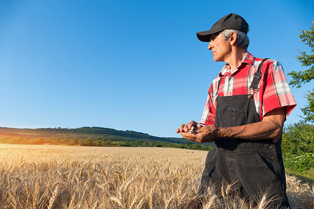 istock Fermer with overall in his field 516886720