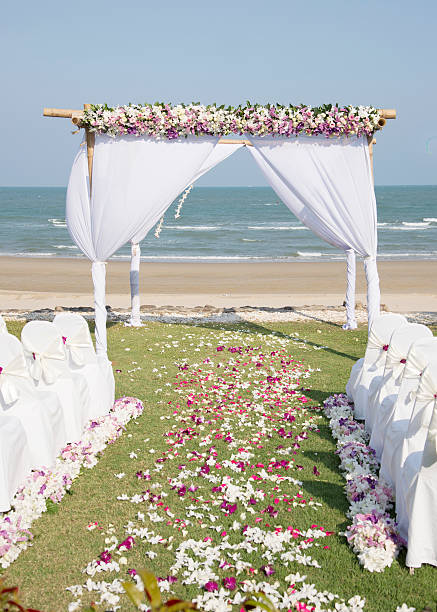 istock Banquet stunning beauty 516887900