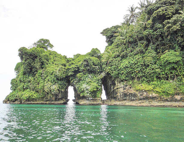 istock Island of birds. Bocas del Toro 516888560
